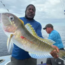 Person holding a large fish on a boat, with another person in the background.