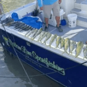 Two people on a boat with a row of fish lined up on the side.